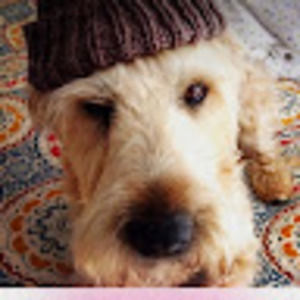 Meet your Posher, Teagan